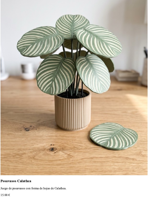 Posavasos Calathea